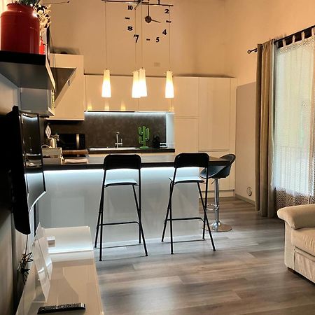 شقة Benvenuti In Casa Peluca! ميستر المظهر الخارجي الصورة