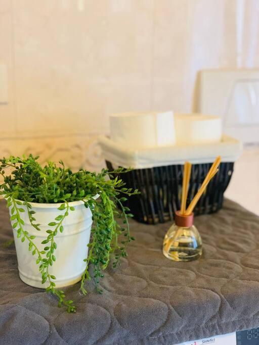 شقة Benvenuti In Casa Peluca! ميستر المظهر الخارجي الصورة